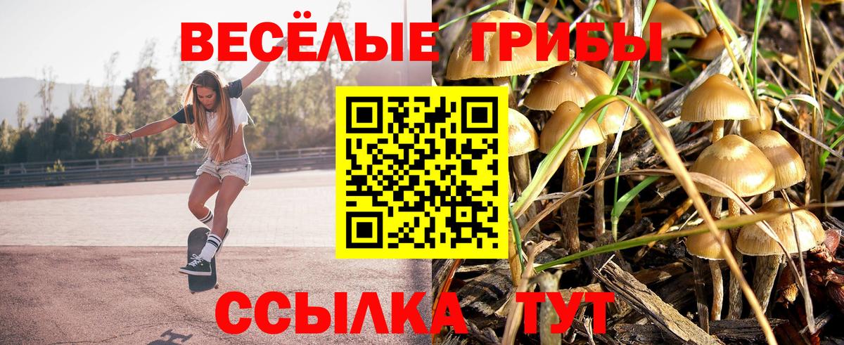 Псилоцибиновые грибы Cubensis Великий Устюг