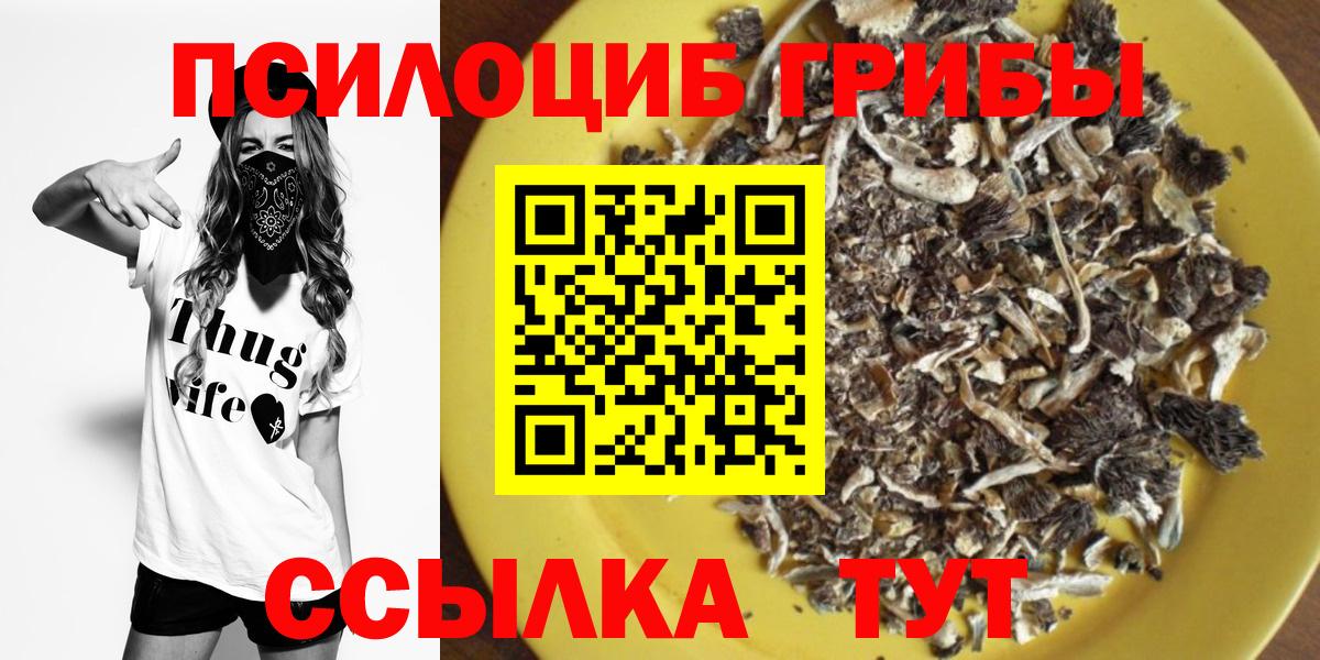 Псилоцибиновые грибы MAGIC MUSHROOMS  где можно купить   Великий Устюг  Вход с VPN  Псилоцибиновые грибы Psilocybe 